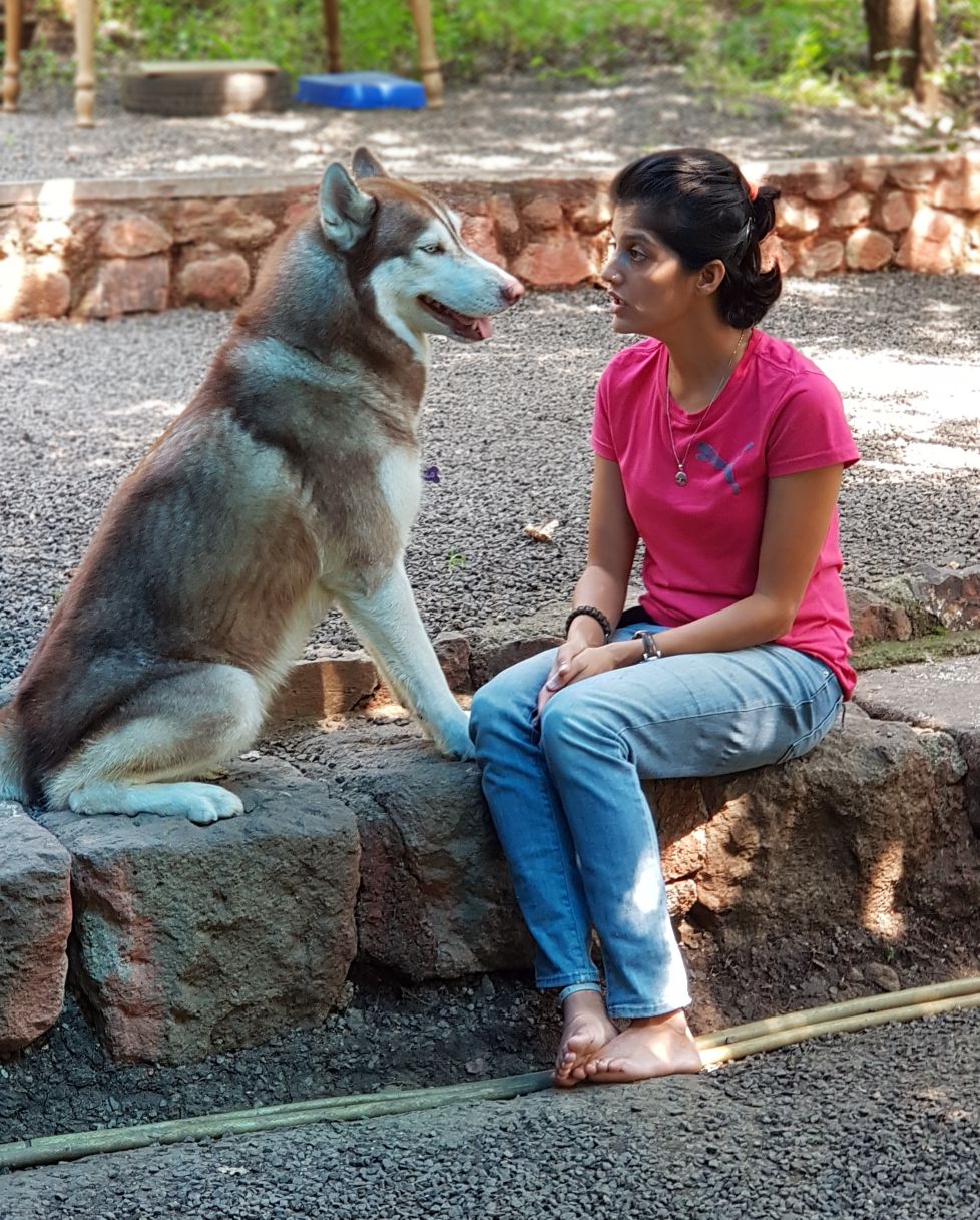 Interspecies Communication